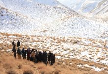 گزارش تصویری از کارگاه آموزشی متالوژنی(فلزایی) ایران - نمایشگاه سنگ های زینتی و بازدید از معادن سنگ در معلمان